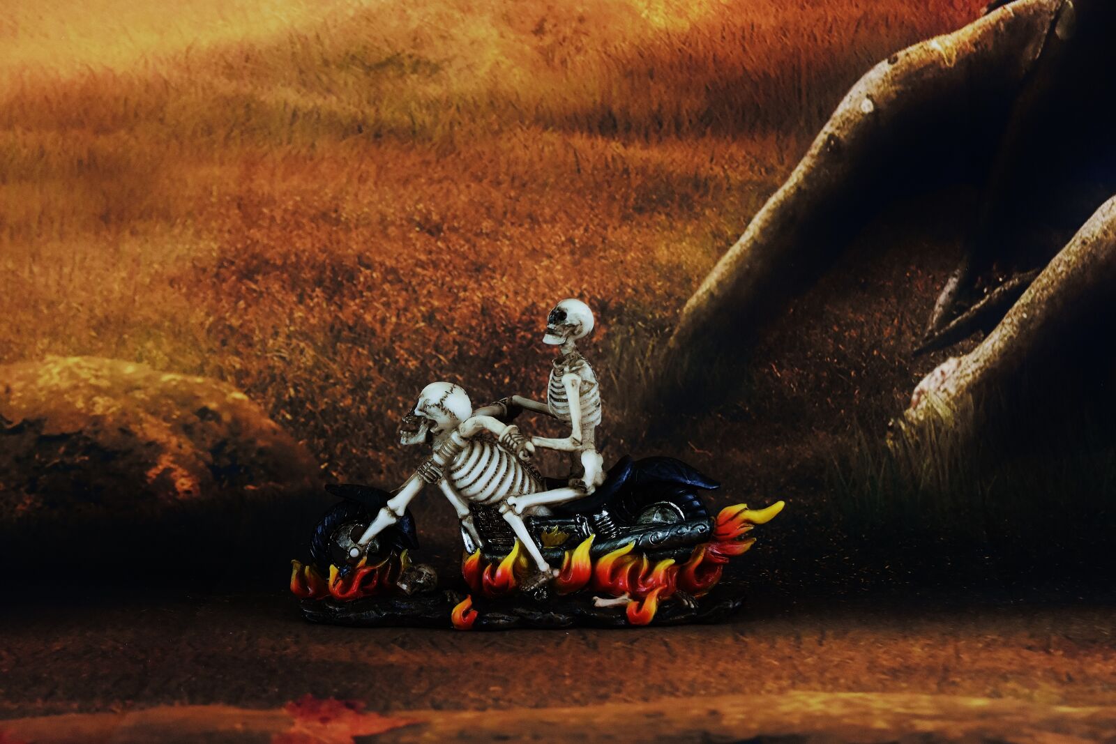 Nikon D7200 sample photo. Biker, skeleton, creepy photography
