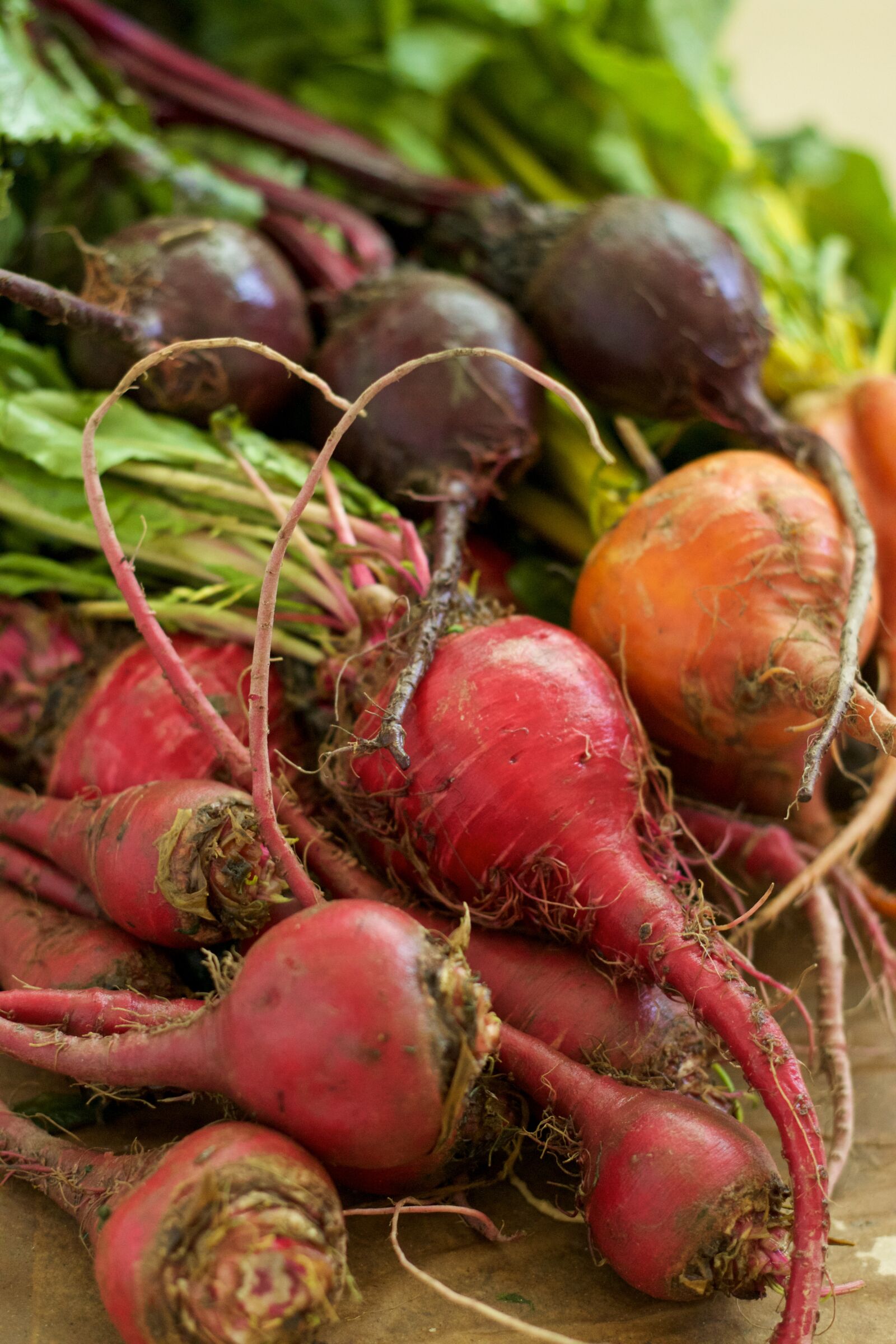Canon EOS 70D + Canon EF 50mm F1.8 II sample photo. Beet, greens, vegetable photography