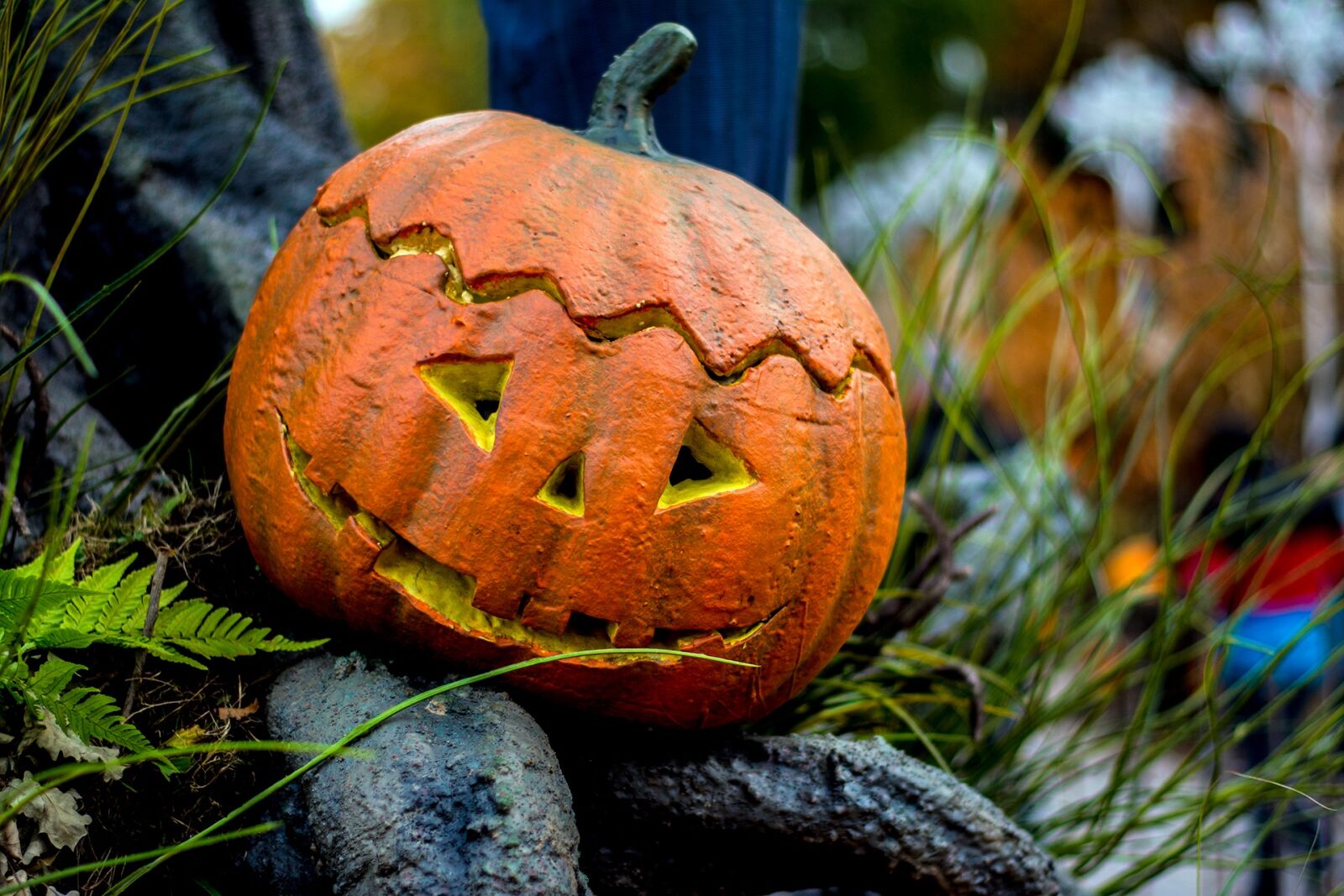 Nikon D7100 sample photo. Halloween, autumn, pumpkin photography