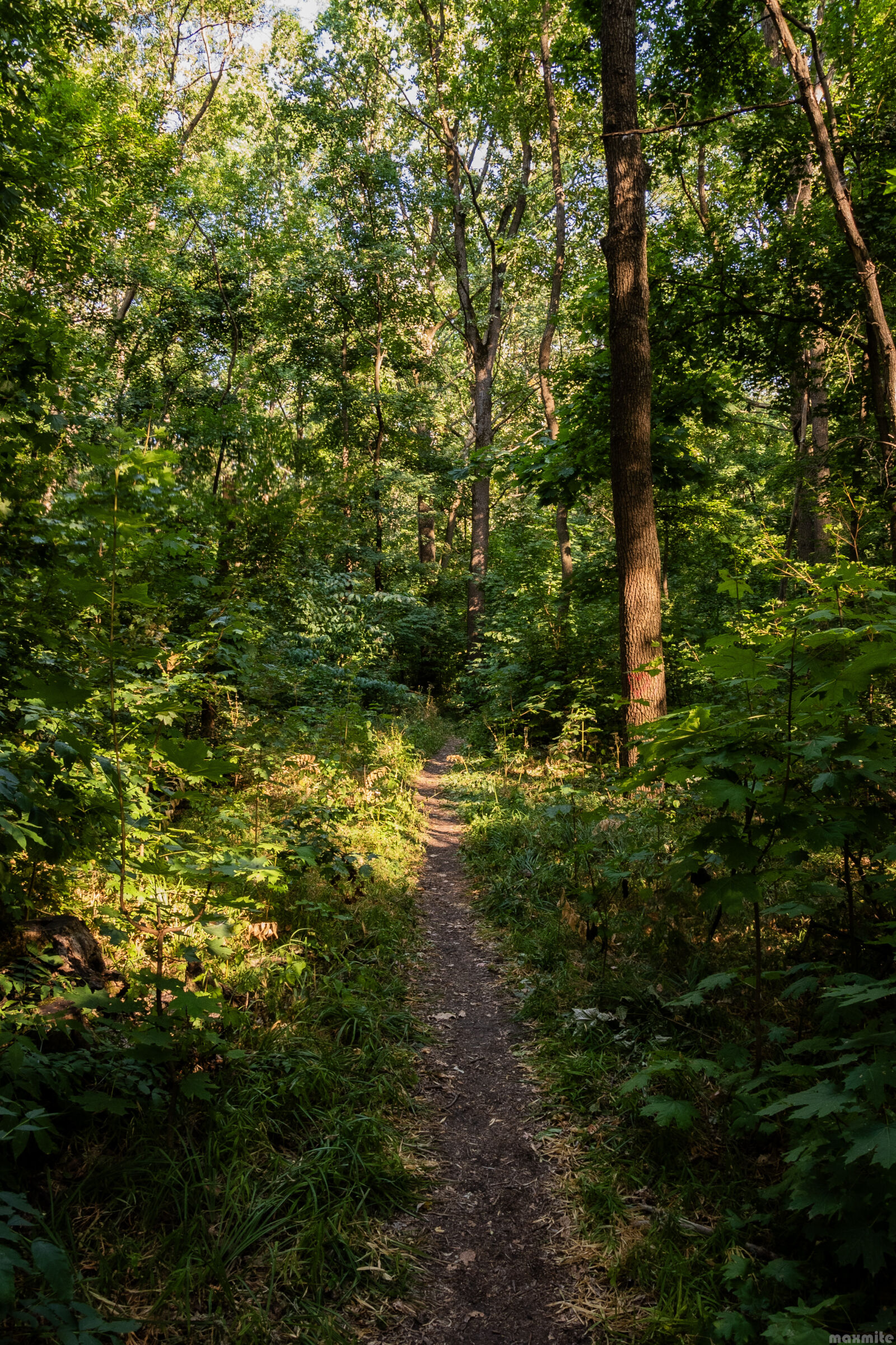 Nikon D750 sample photo