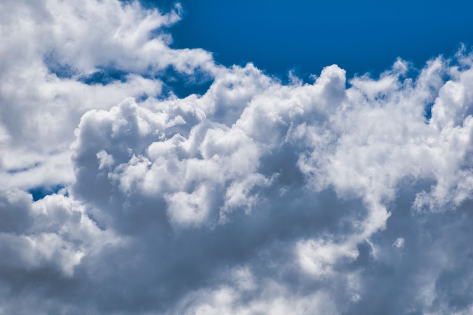 Nikon D5600 sample photo. Clouds, white, blue photography