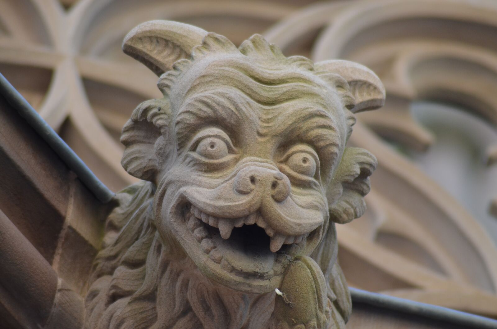 Nikon D5100 sample photo. Gargoyle, cathedral, strasbourg photography