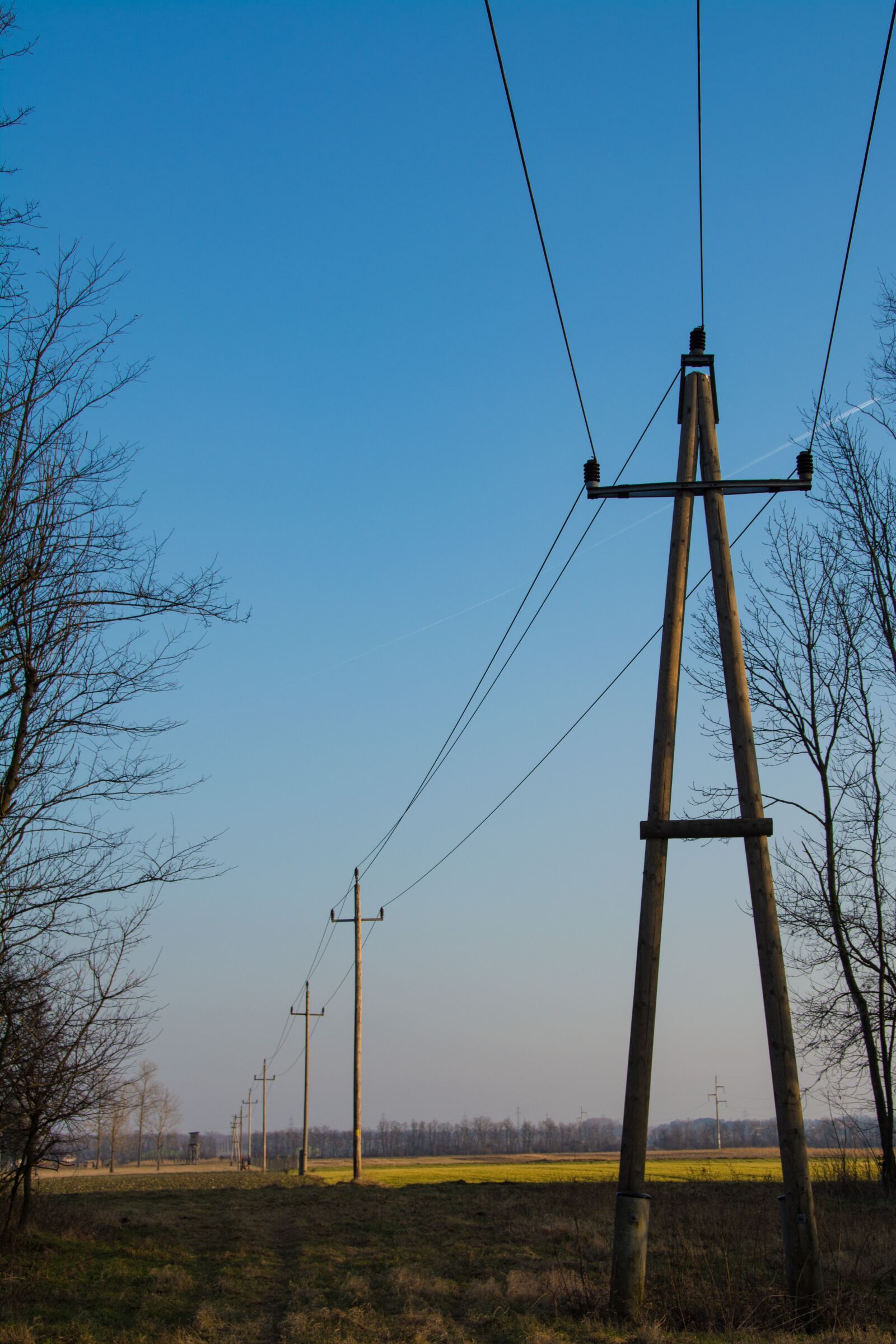 Nikon D7100 sample photo. Power line, power poles photography