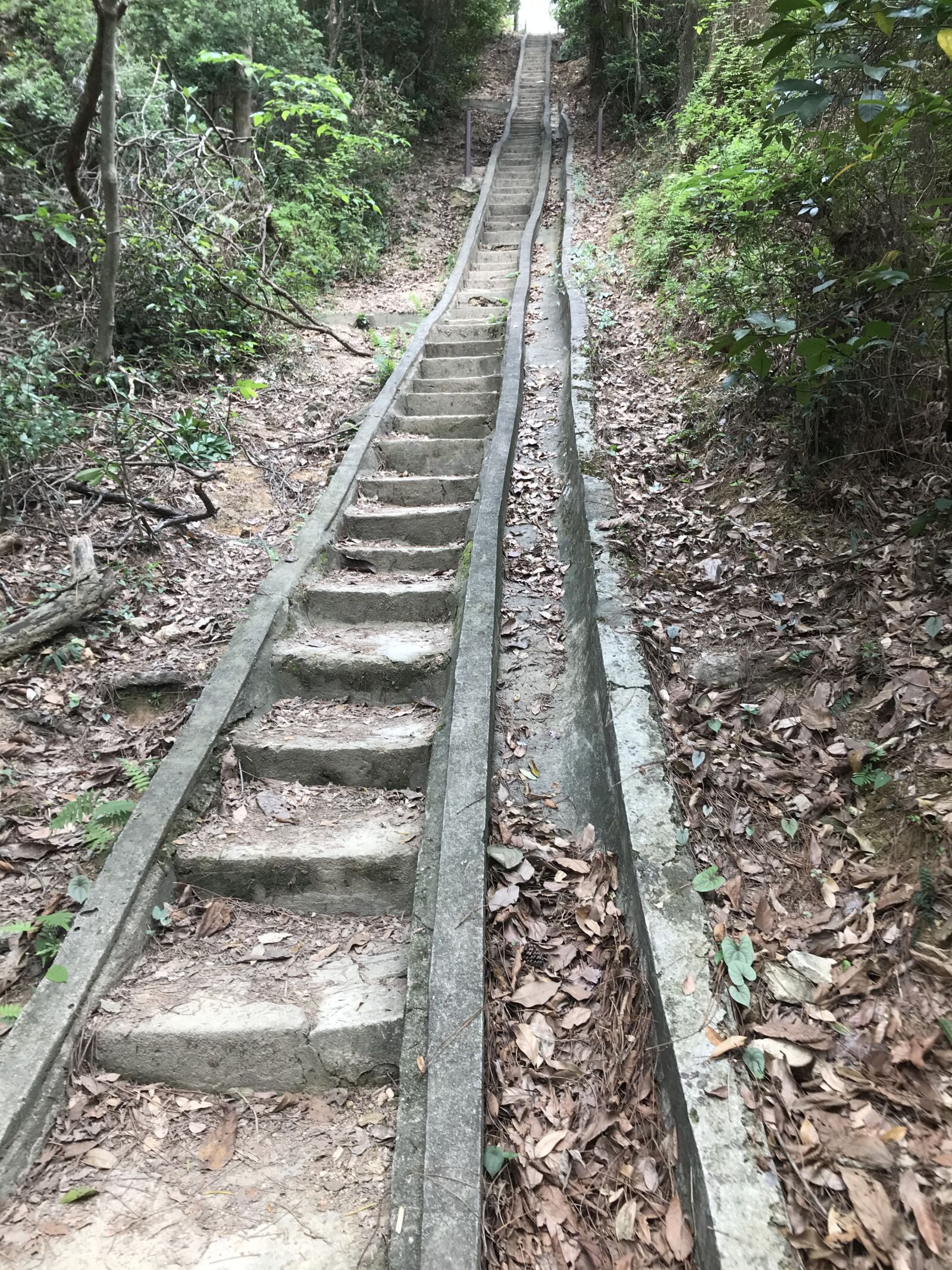 iPhone 7 back camera 3.99mm f/1.8 sample photo. Hong kong, jacob's ladder photography