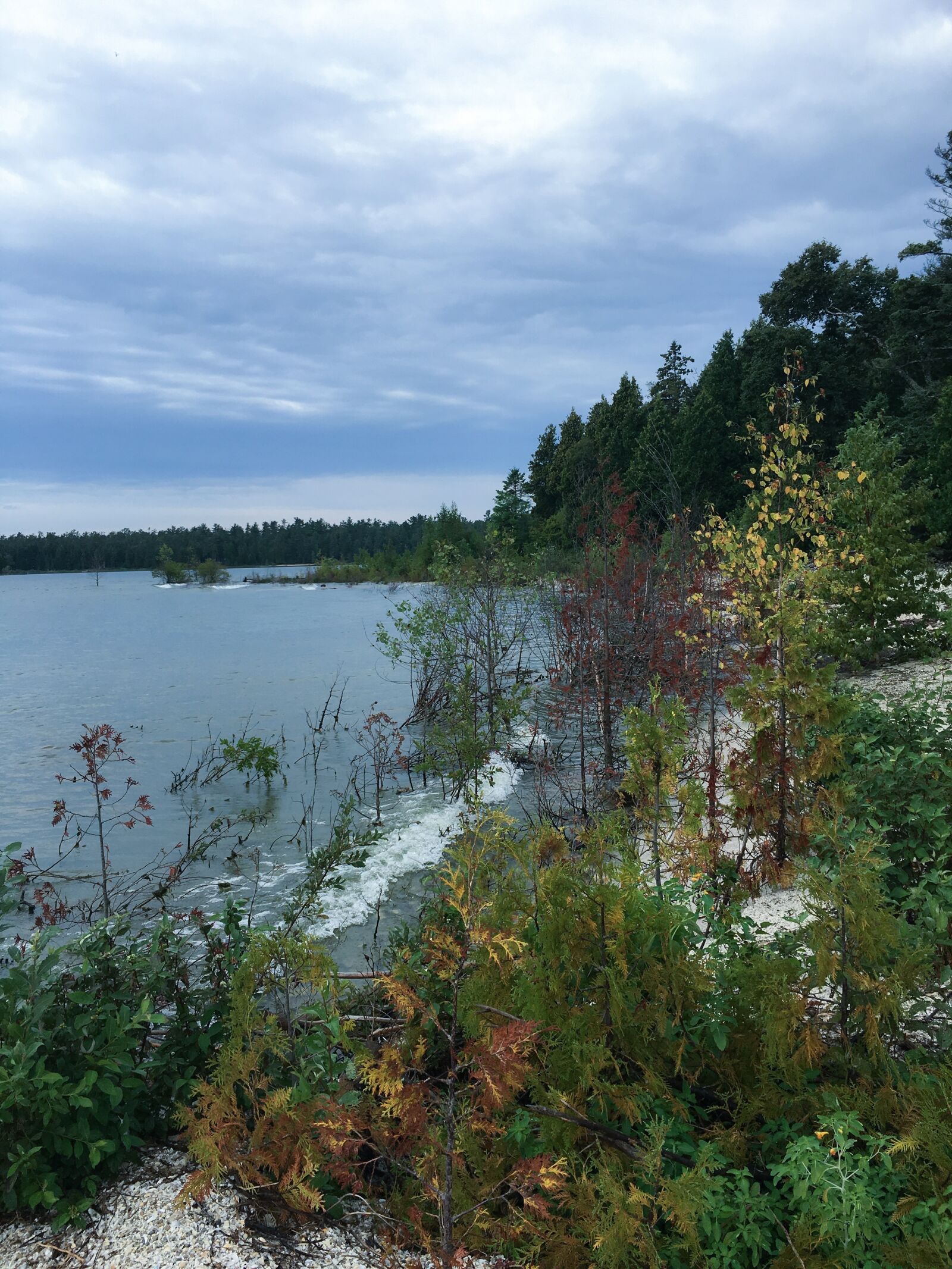 Apple iPhone 6s sample photo. Lakeshore, shoreline, scenic photography