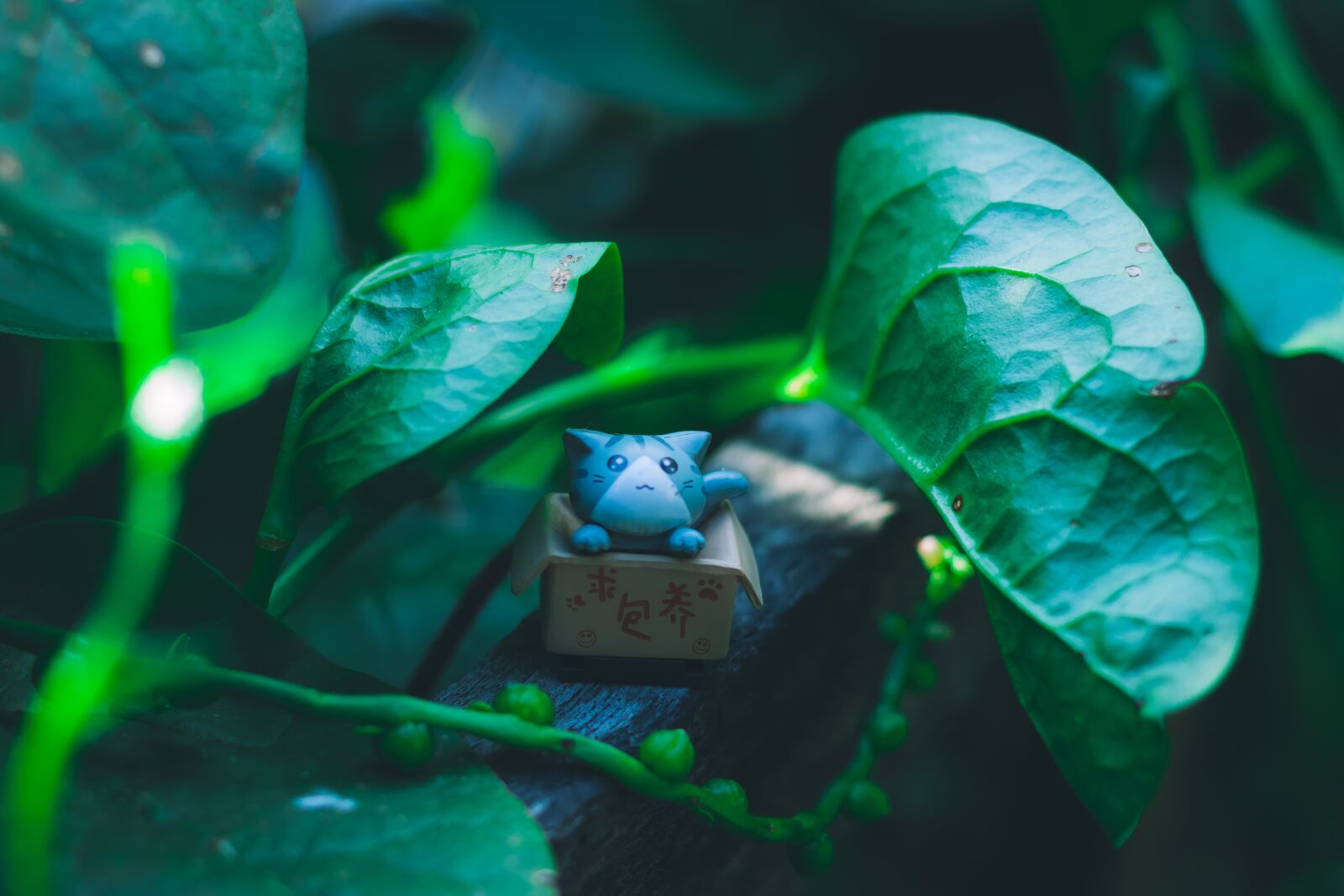 Canon EOS 80D + Canon EF 50mm F1.8 STM sample photo. Cat, green, pet photography