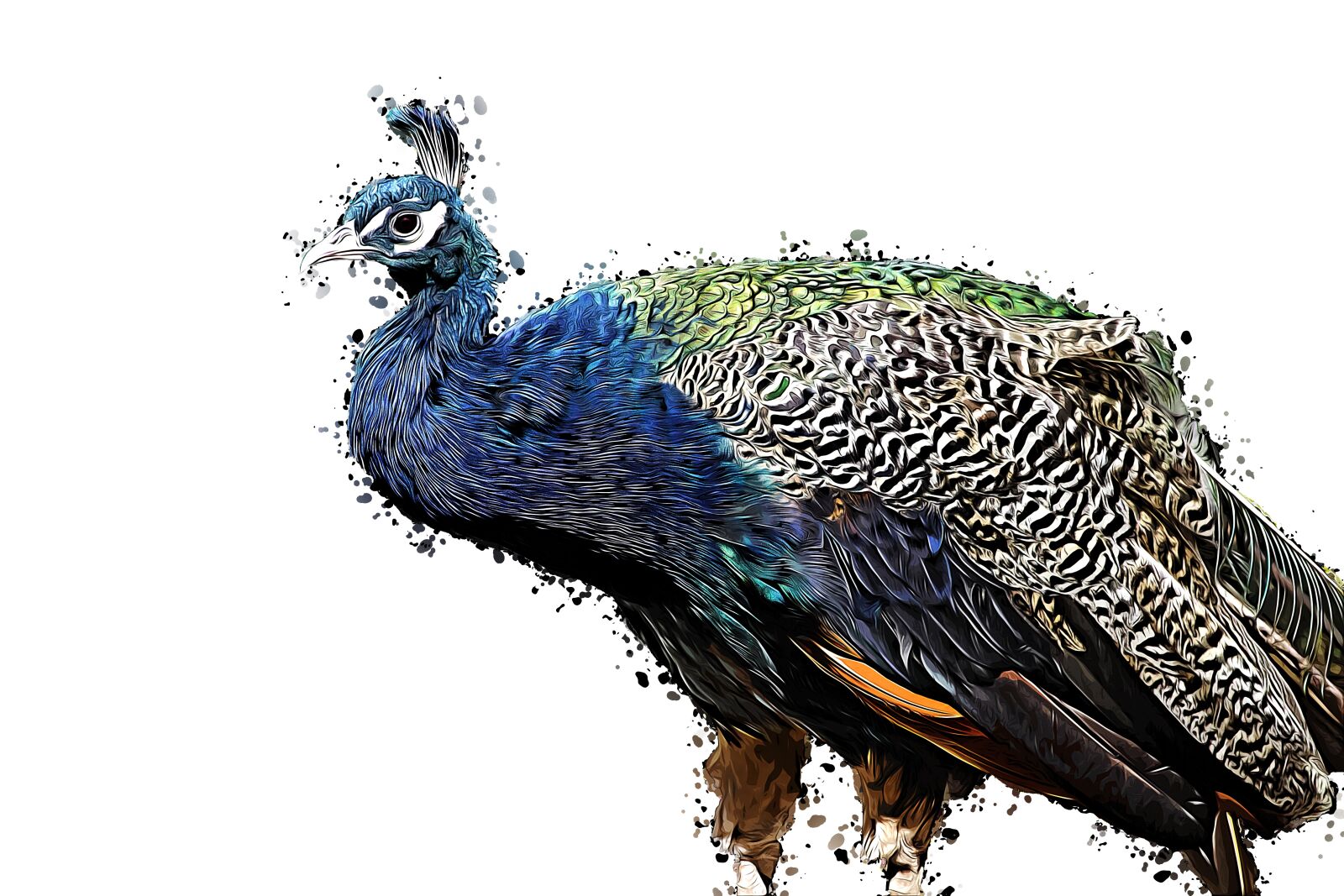 Canon EOS 700D (EOS Rebel T5i / EOS Kiss X7i) sample photo. Peacock, animal, bird photography