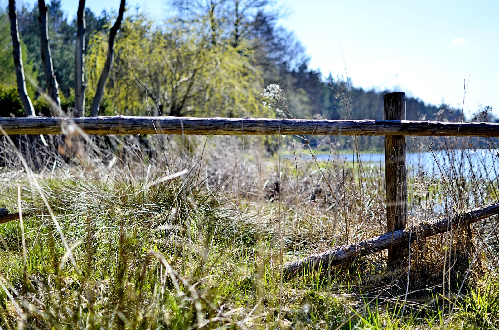 Nikon D5100 sample photo. Gołubie, lake, kaszuby photography