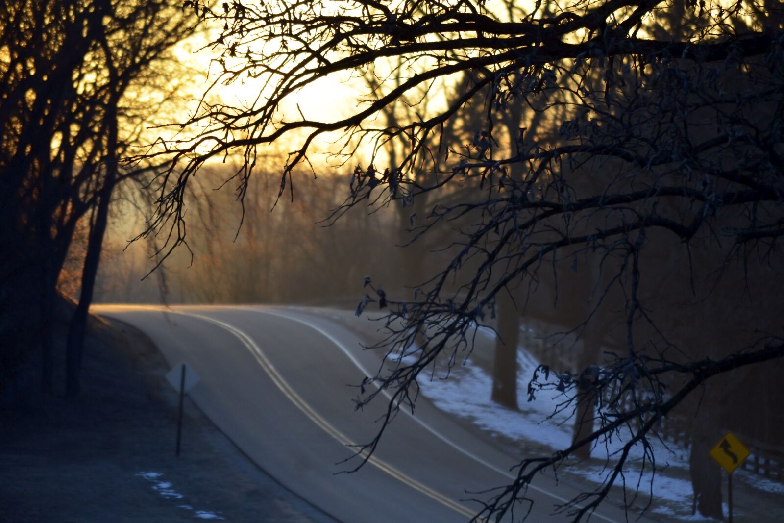 Nikon D3200 sample photo. Tree, nature, dawn photography