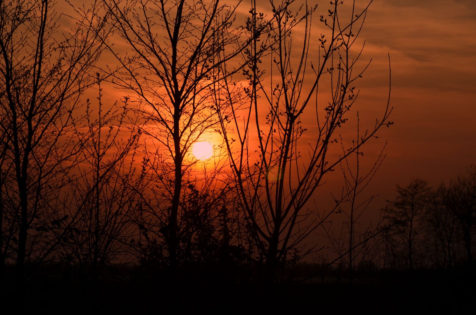 Nikon D5100 sample photo. Sun, twilight, sunset photography