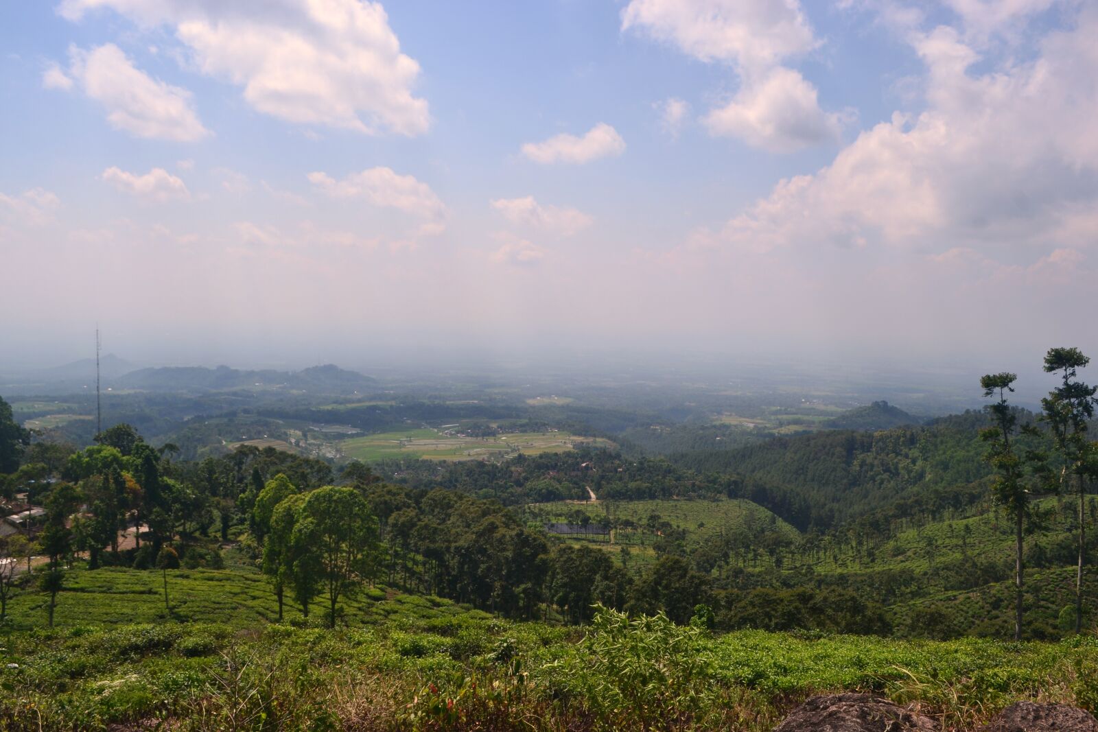 Nikon D3100 sample photo. Landscape, tea gardens, nat photography