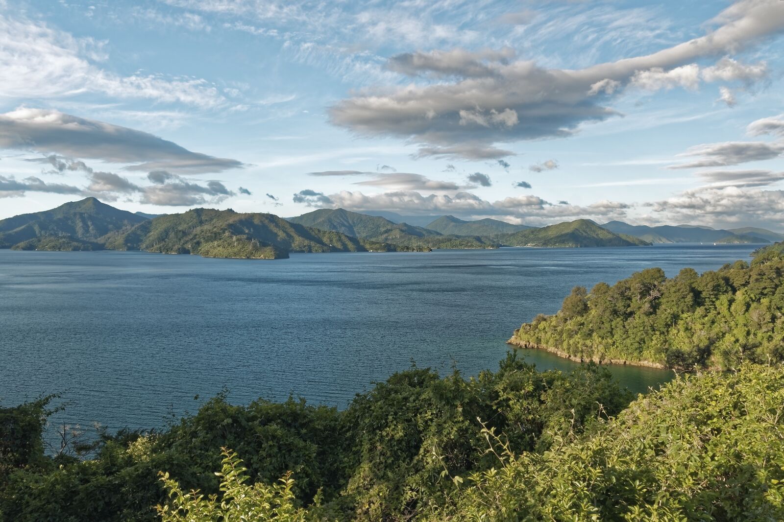 Nikon D500 sample photo. New zealand, ngakuta bay photography