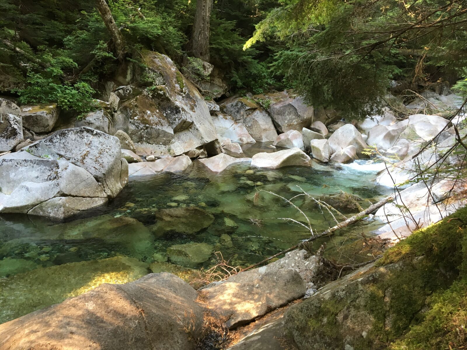 Apple iPhone 6s sample photo. River, creek, nature photography