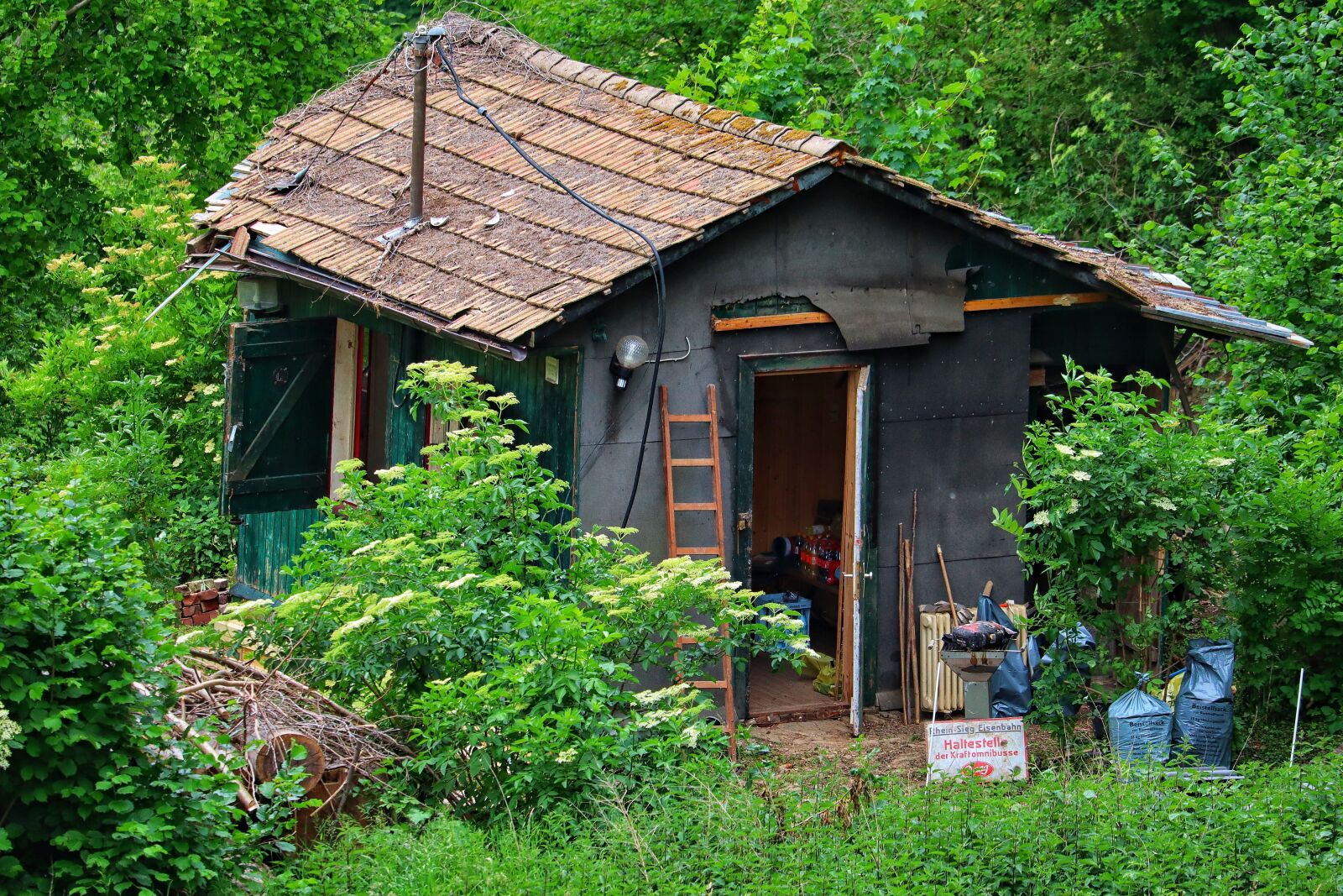 Canon EOS M50 (EOS Kiss M) sample photo. Hut, forest, nature photography