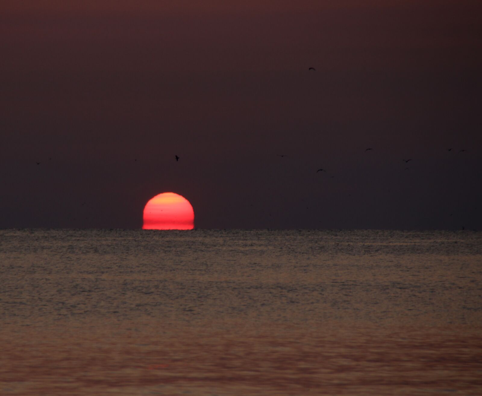 Canon EOS 700D (EOS Rebel T5i / EOS Kiss X7i) sample photo. Sunrise, great, water photography