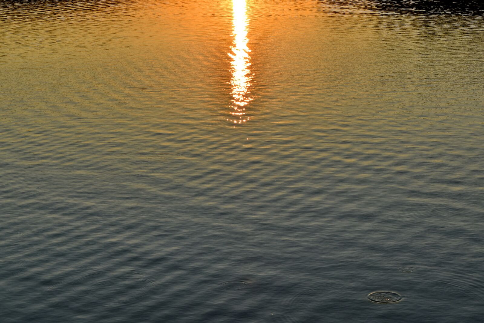 Nikon D5500 sample photo. Calm, reflection, sunrays, waves photography