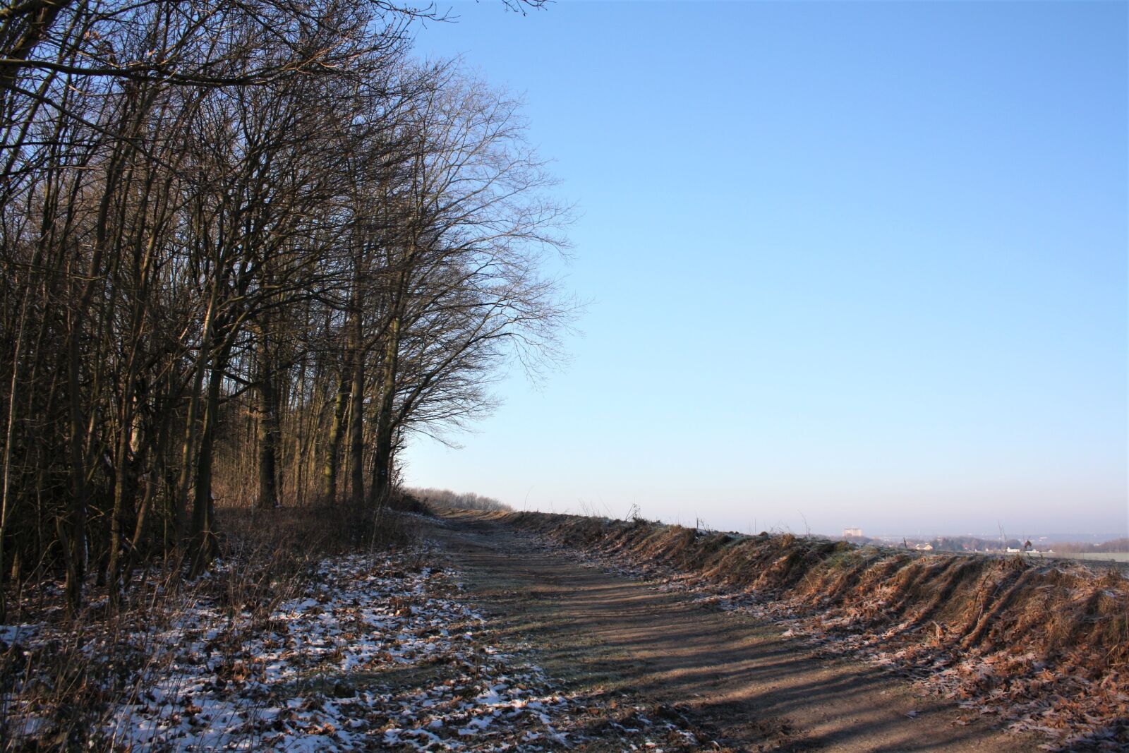 Canon EOS 1000D (EOS Digital Rebel XS / EOS Kiss F) sample photo. Trail, frost, winter photography