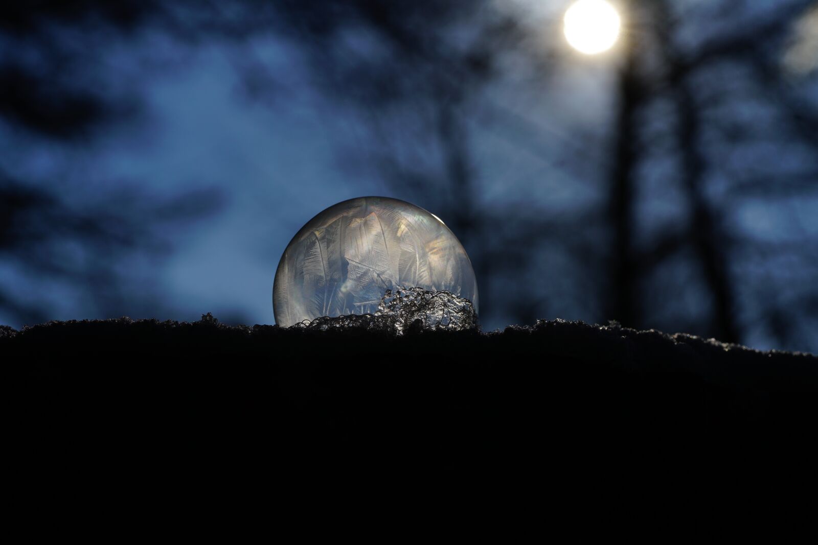 Sony a7R II + Sony FE 90mm F2.8 Macro G OSS sample photo. Eiskristalle, soap bubble, crystals photography