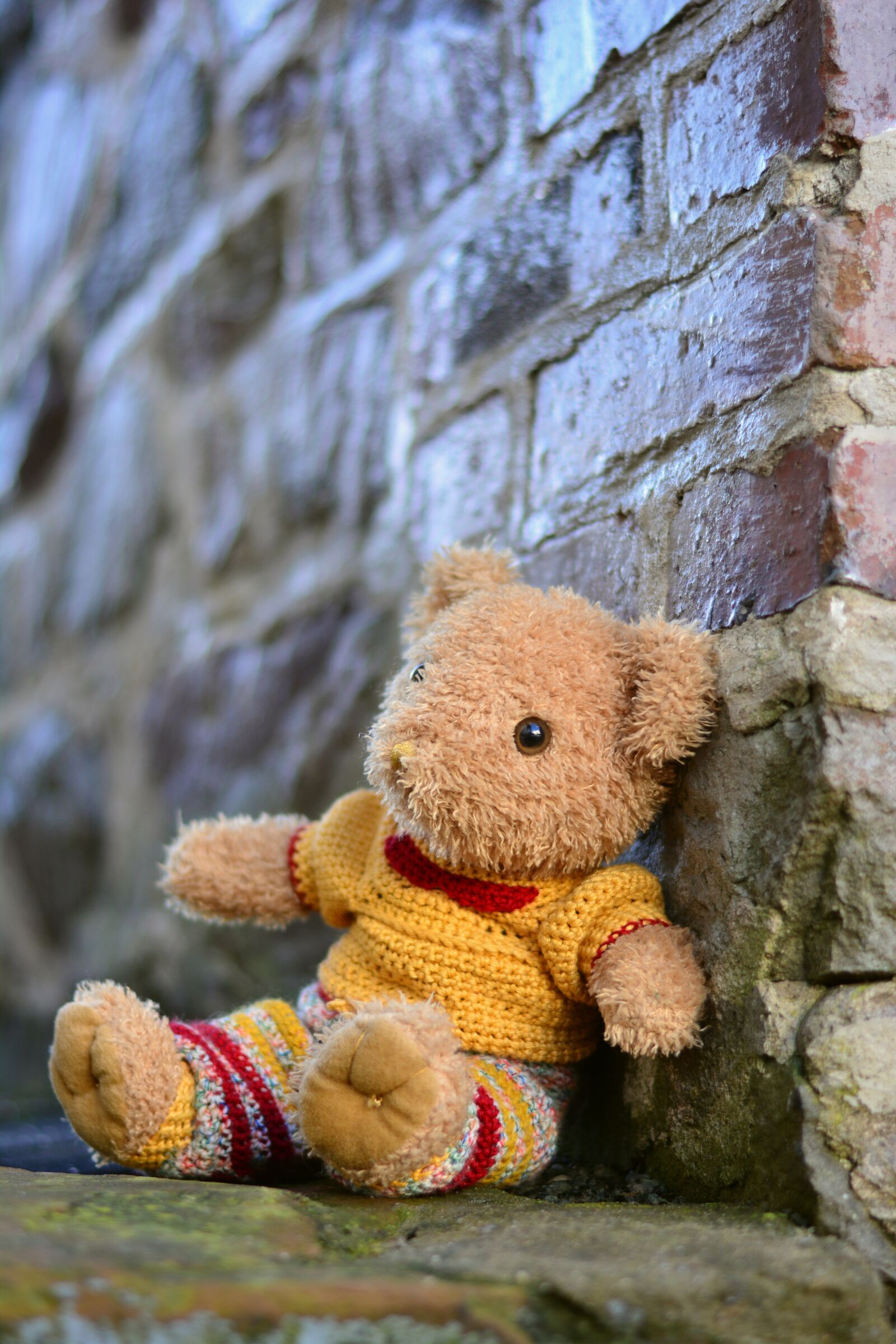 Nikon D5200 sample photo. Teddy, teddy bear, bears photography