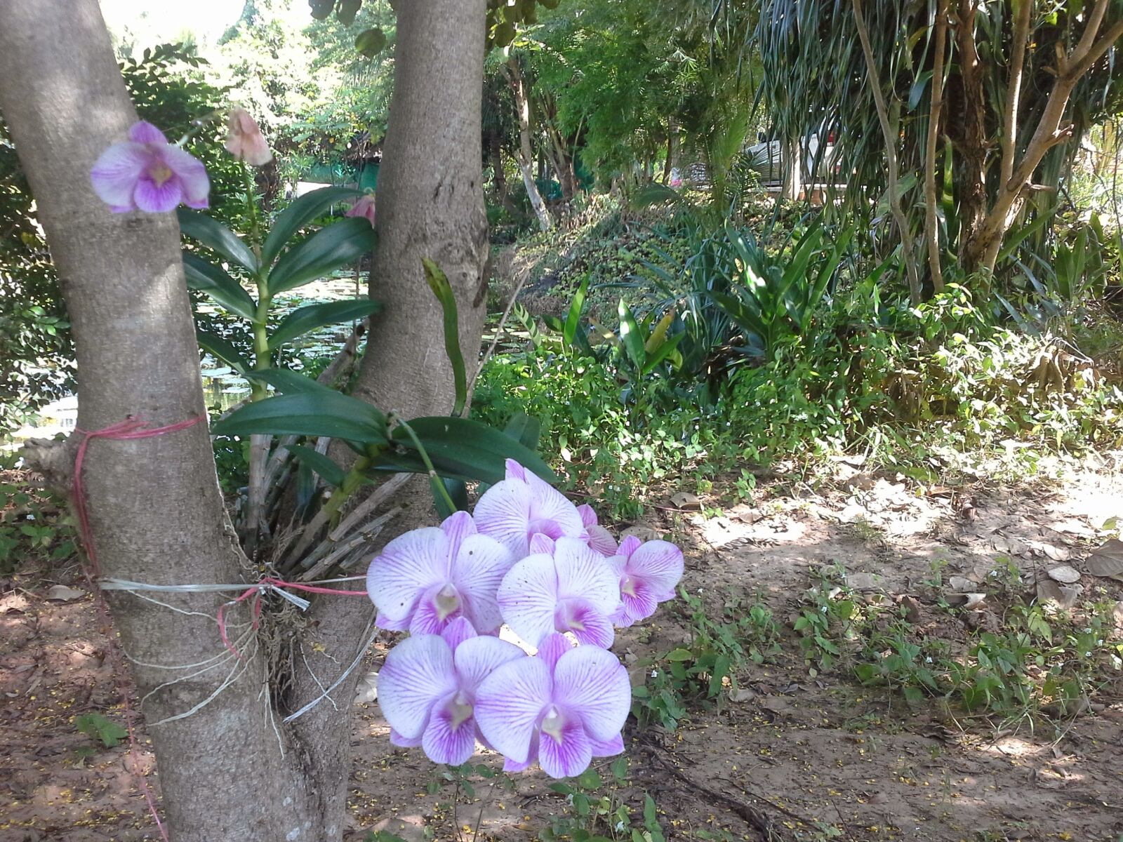 Samsung Galaxy Note 10.1 sample photo