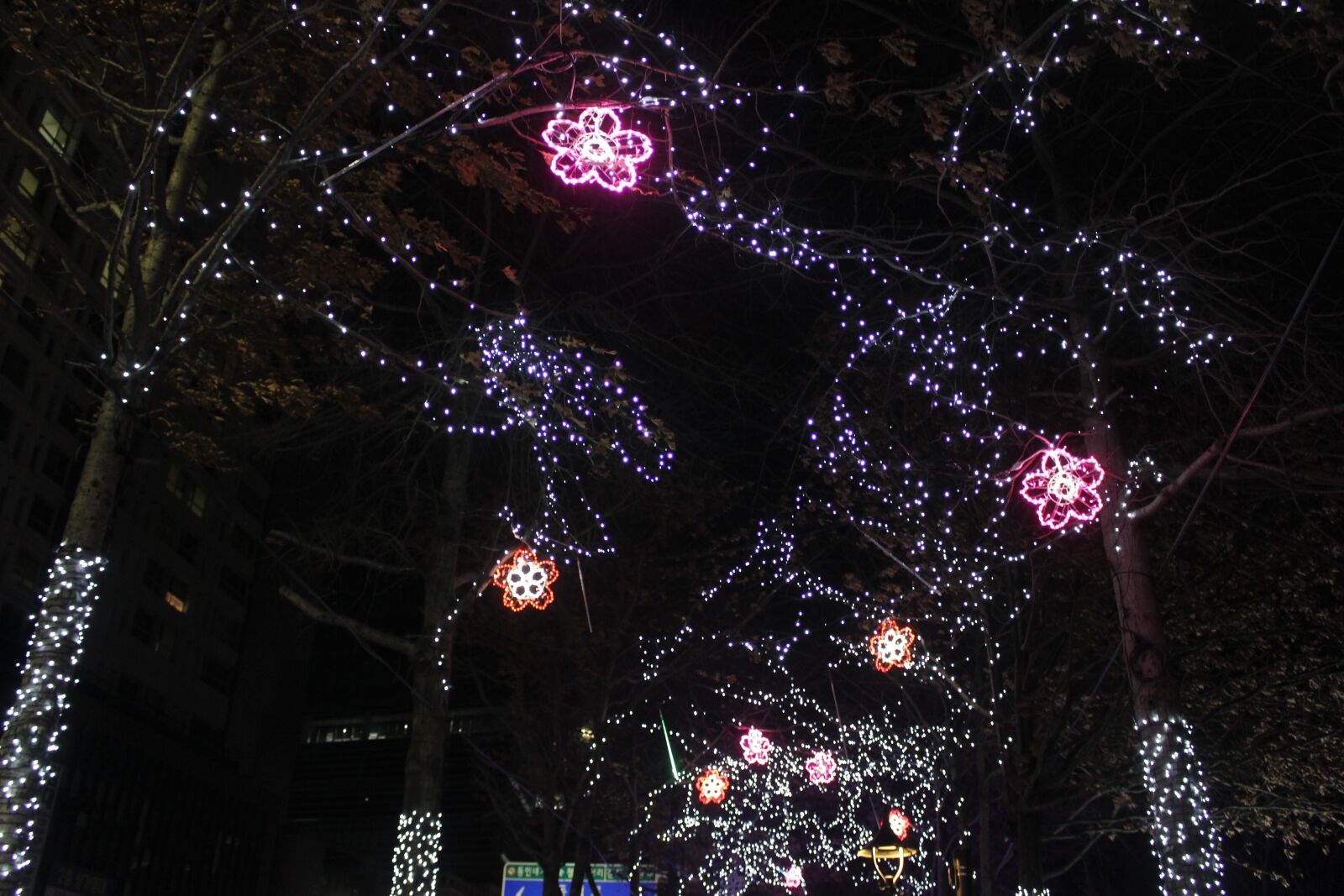 Canon EOS 100D (EOS Rebel SL1 / EOS Kiss X7) sample photo. Night, a neon sign photography