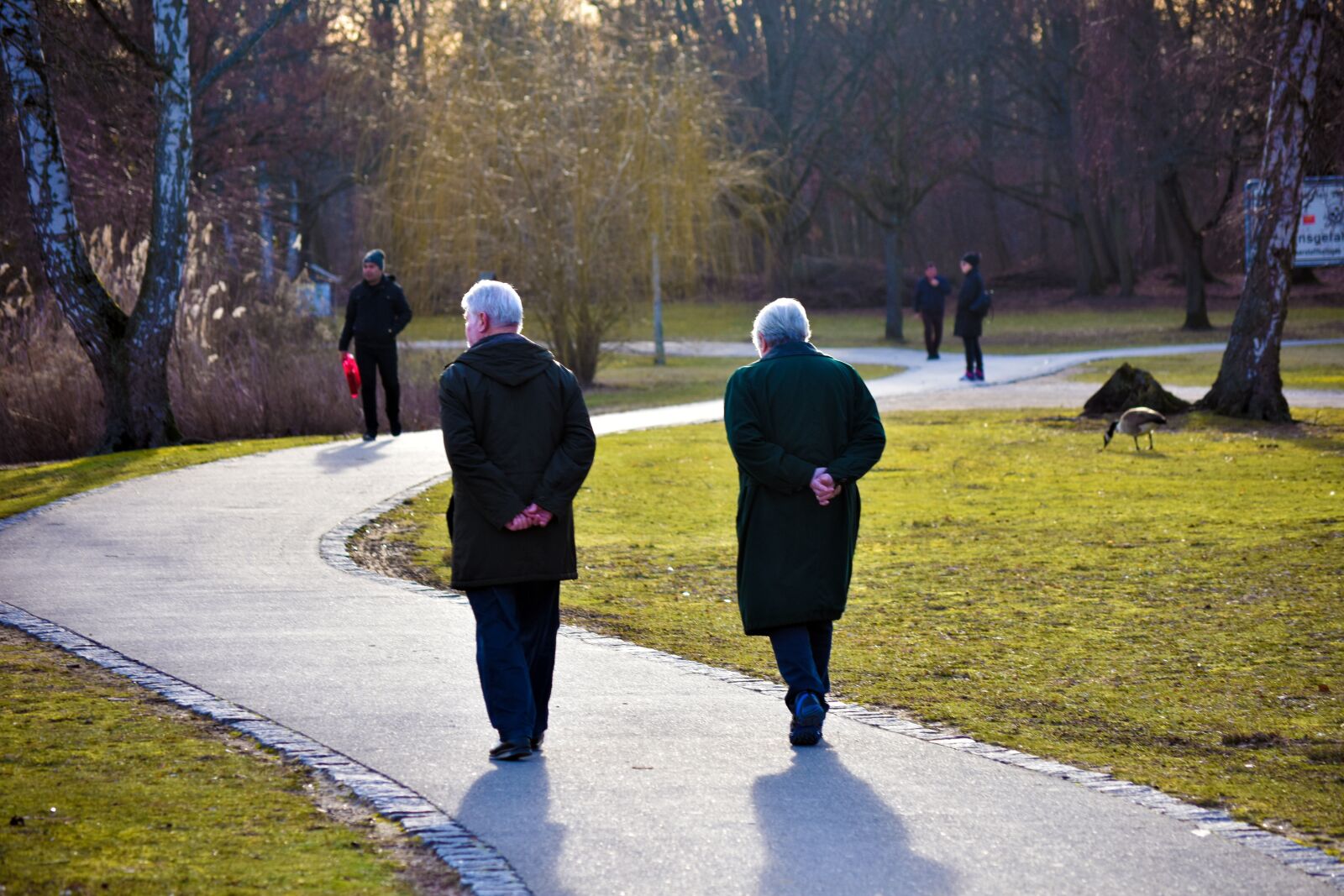Nikon D3400 sample photo. Elderly happy, third age photography