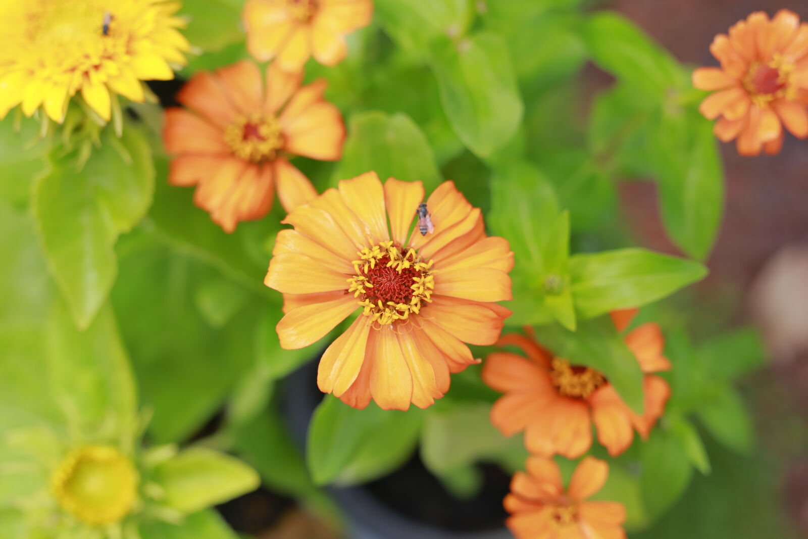 Canon EOS 6D sample photo