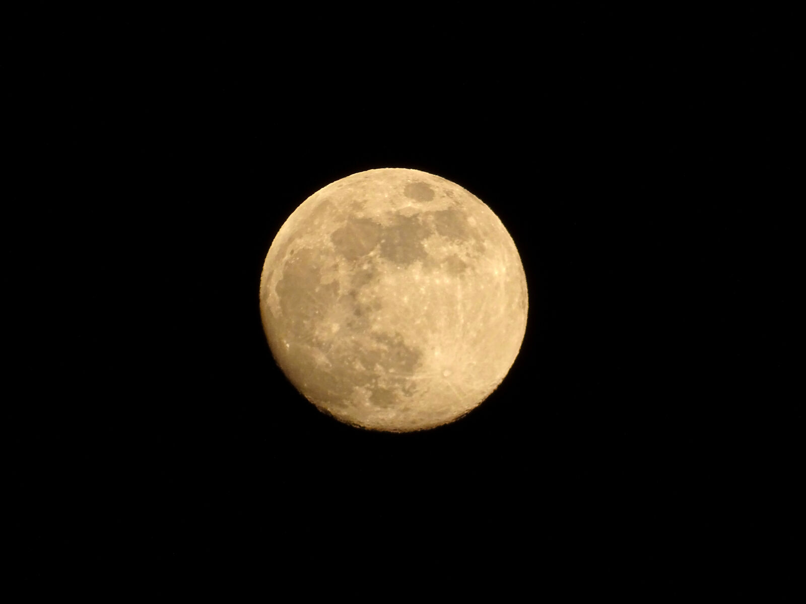 Sony Cyber-shot DSC-HX350 sample photo