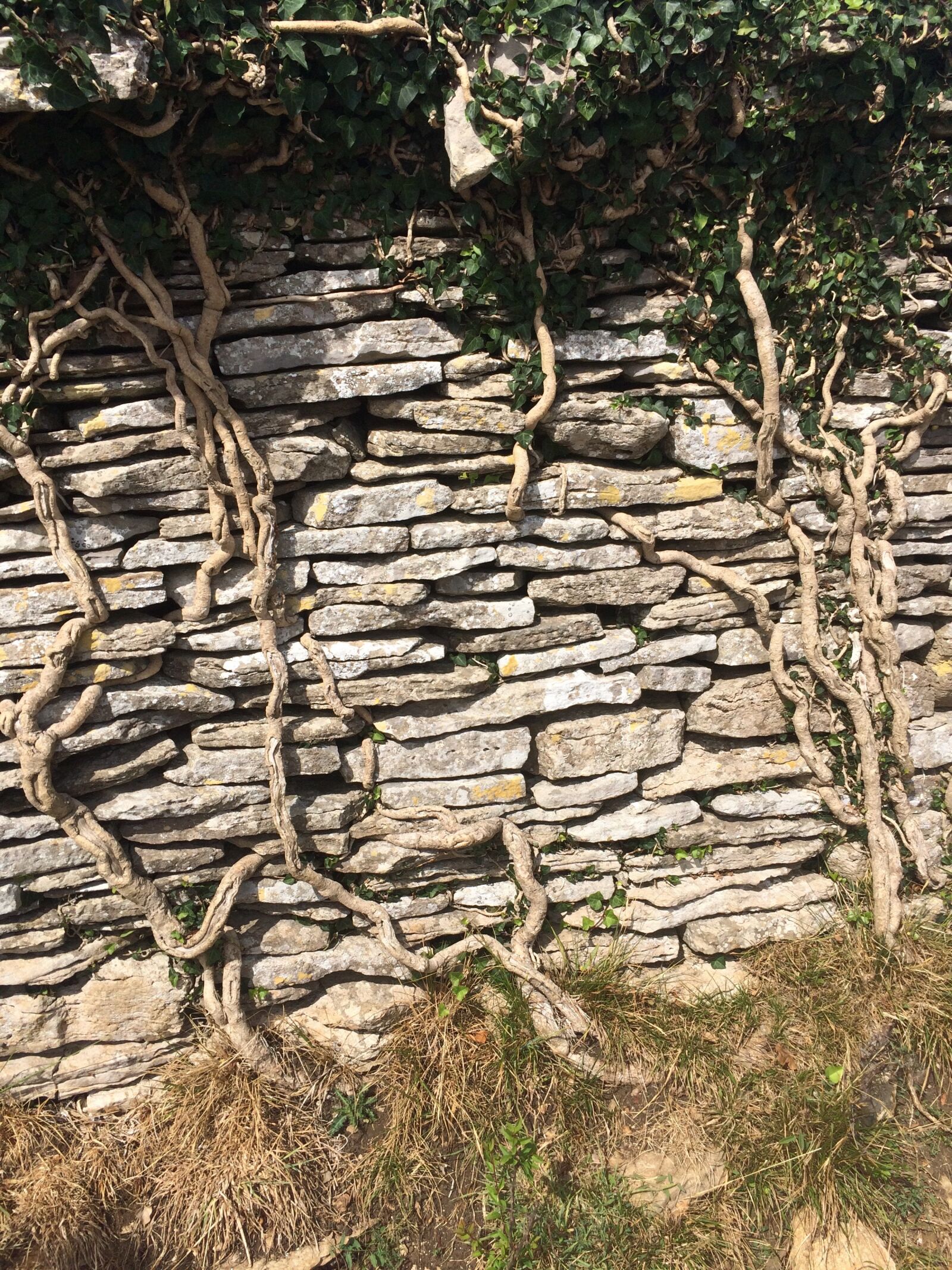 iPhone 5s back camera 4.15mm f/2.2 sample photo. Stone, wall, field photography