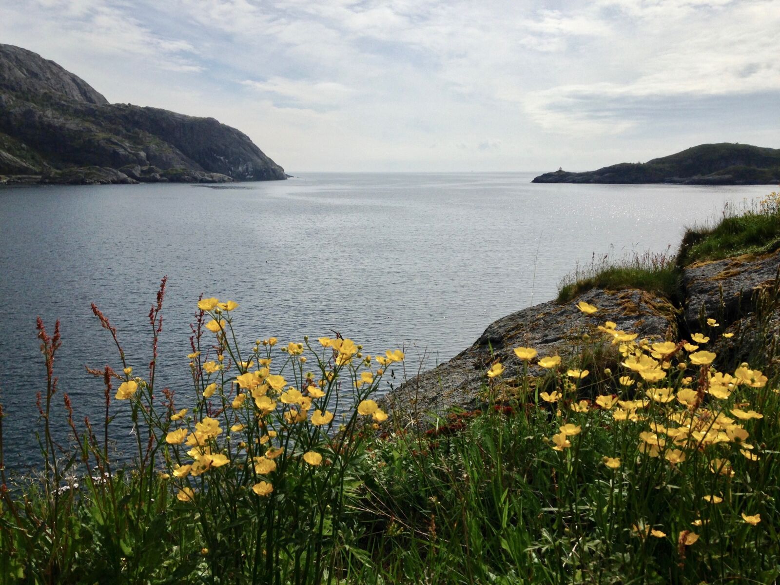 iPhone 5c back camera 4.12mm f/2.4 sample photo. Mountains, sea, flowers photography
