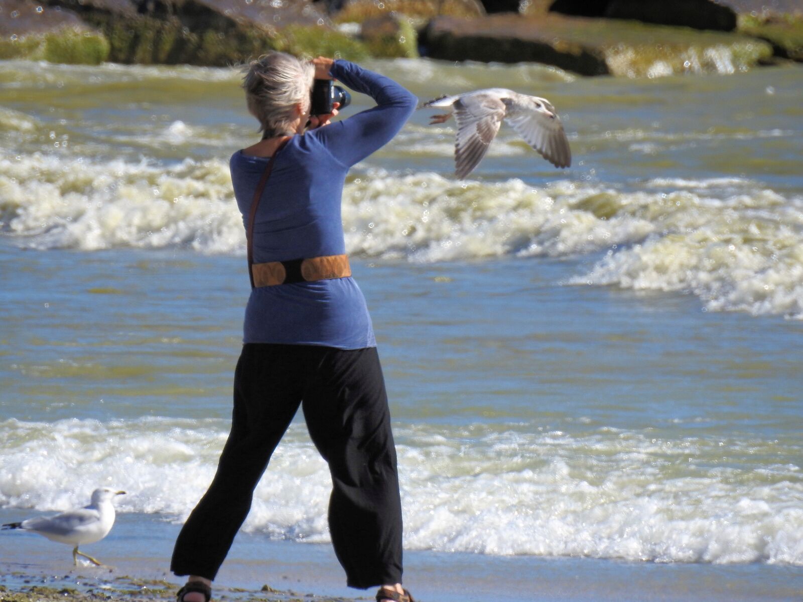 Nikon Coolpix P900 sample photo. Photographer, waves, seagull photography