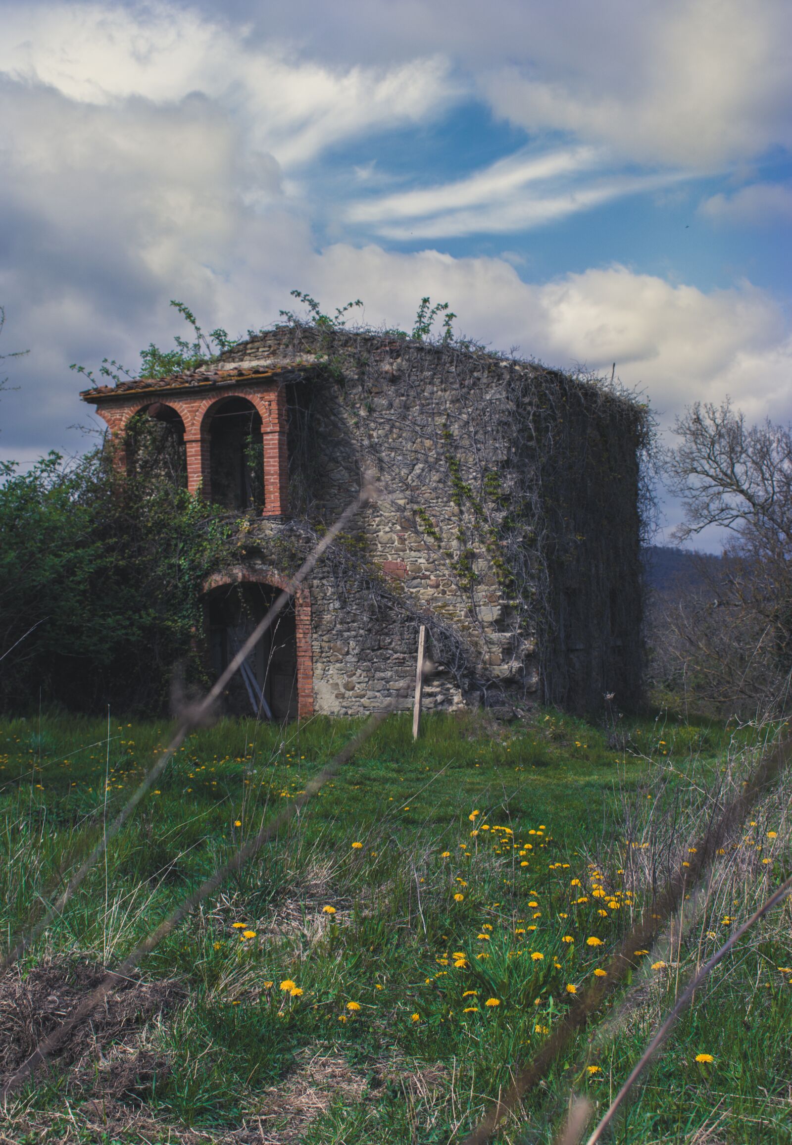 Nikon D3500 sample photo. Casa, foto, verde photography