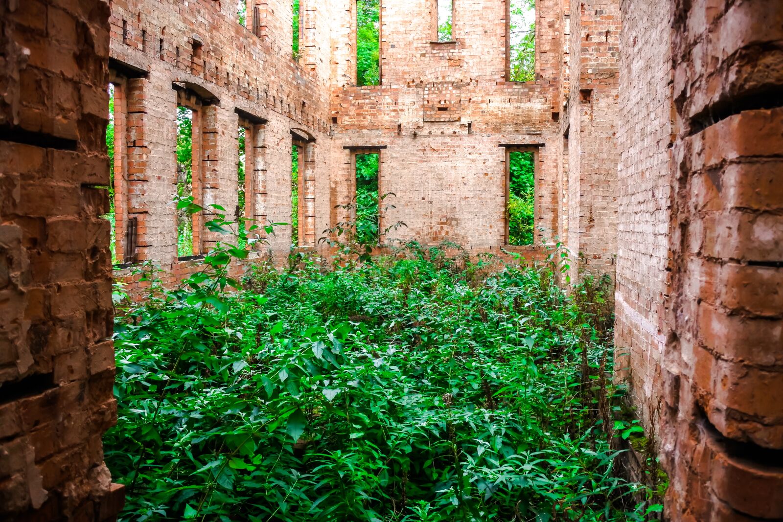 Nikon 1 J5 sample photo. St crispins, asylum, hospital photography