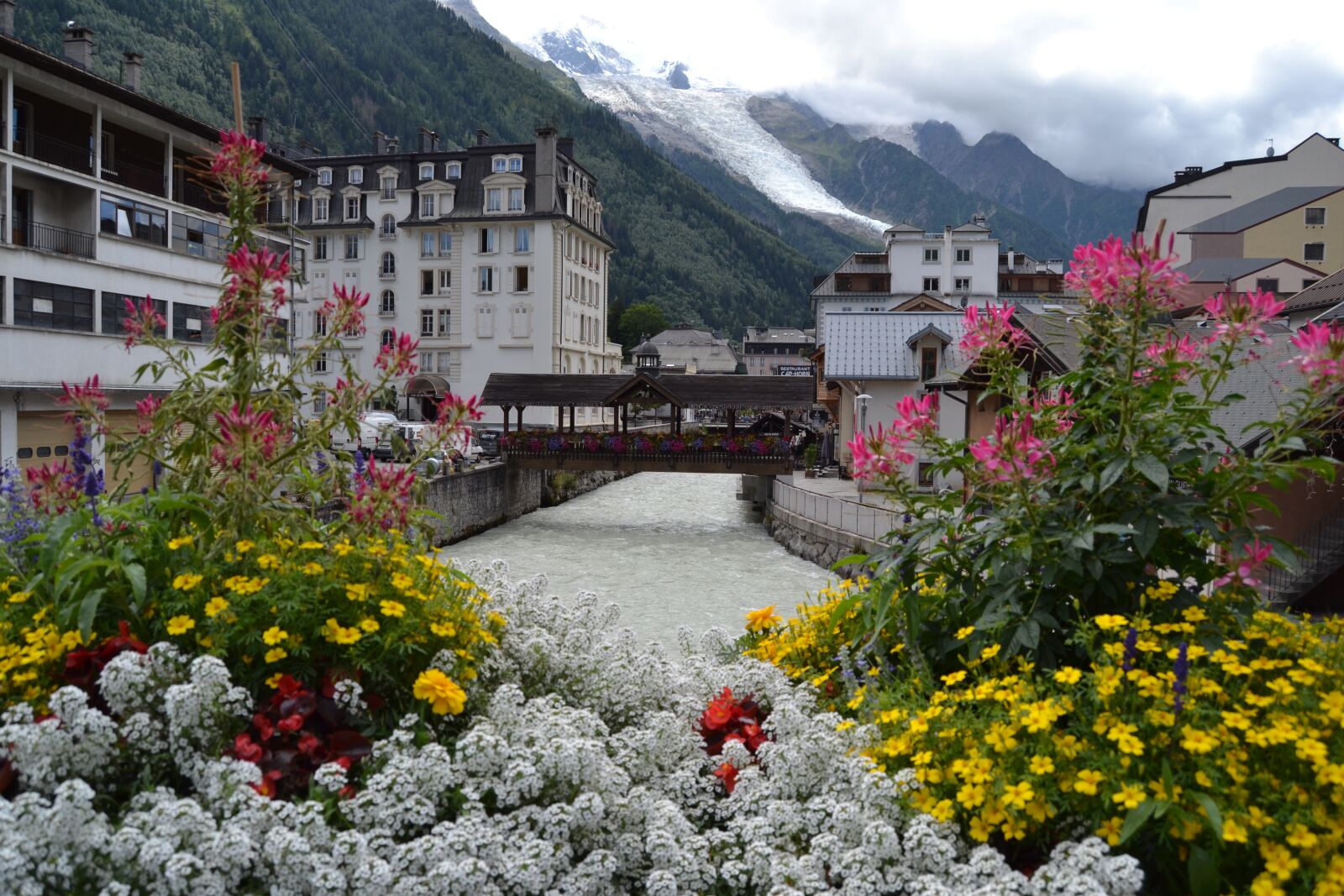 Nikon D3100 sample photo. Chamonix, flowers, france photography