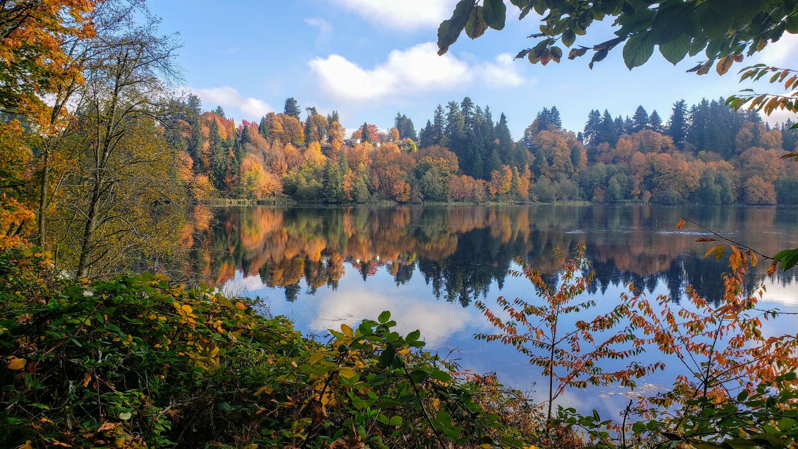 Samsung Galaxy S9 sample photo. Fall colors, reflection, autumn photography