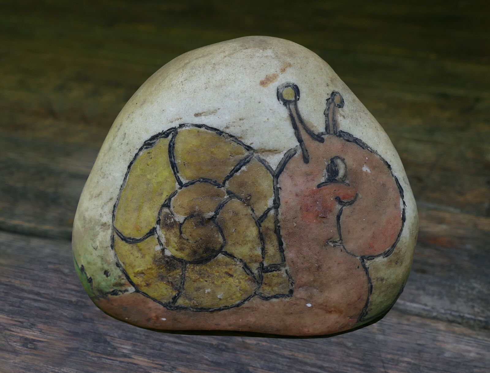 Panasonic Lumix DMC-FZ1000 sample photo. Snail, graphic, pebble photography