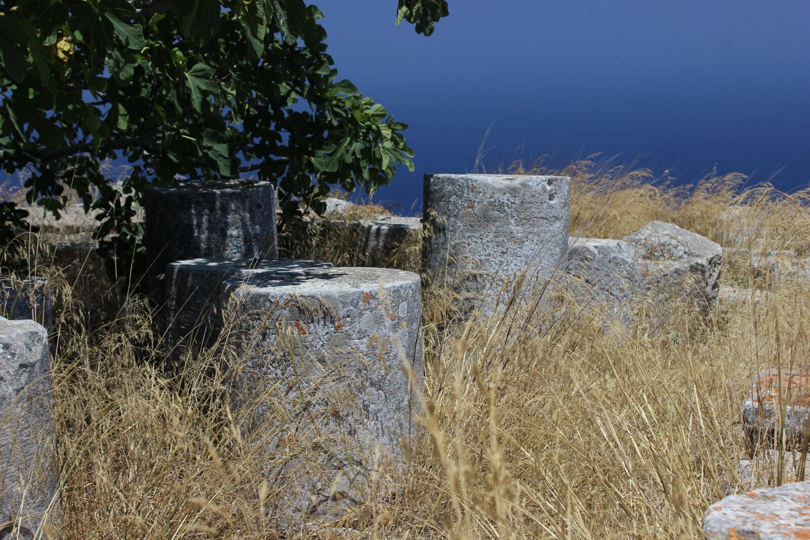 Canon EOS 600D (Rebel EOS T3i / EOS Kiss X5) sample photo. Pillars, ancient, pillar photography
