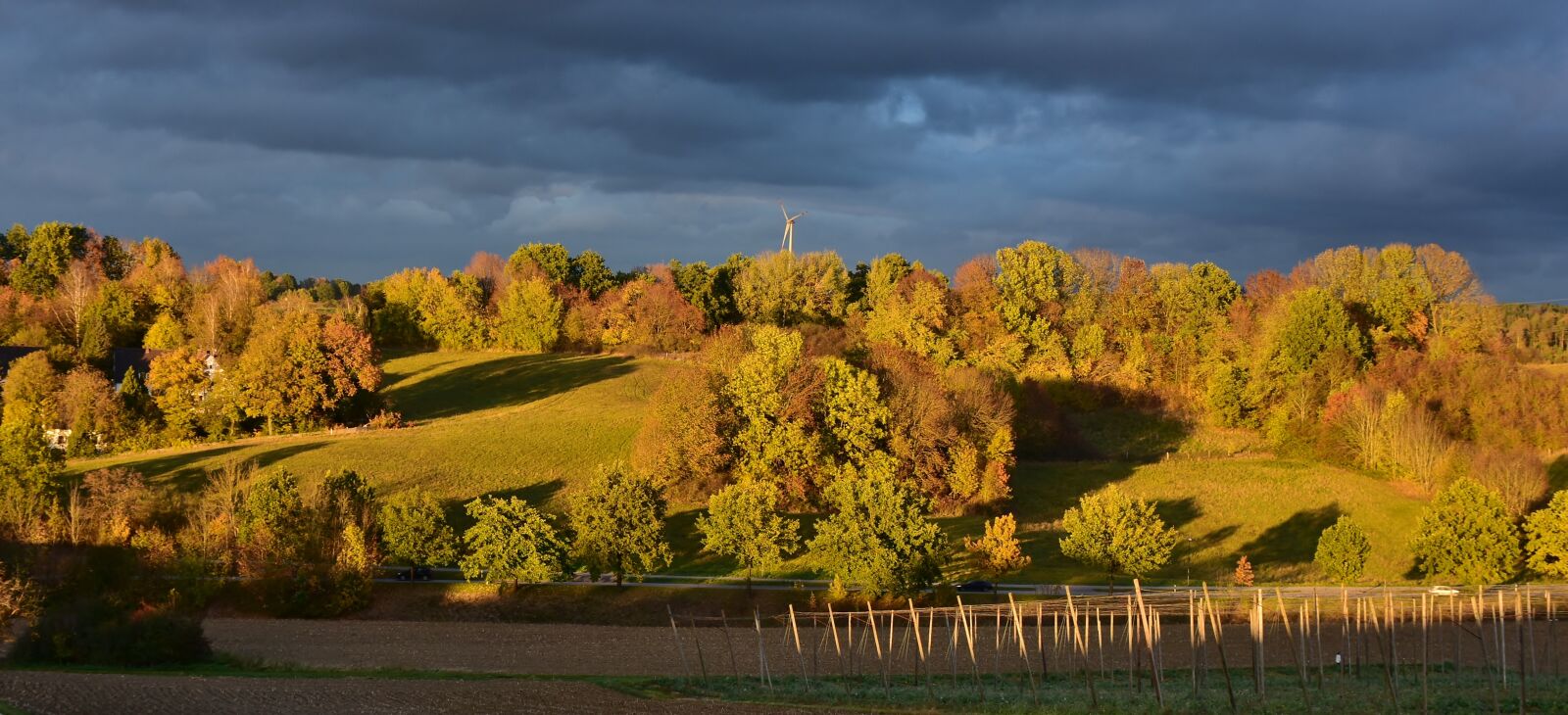 Nikon D7200 sample photo. Landscape, forest, trees photography