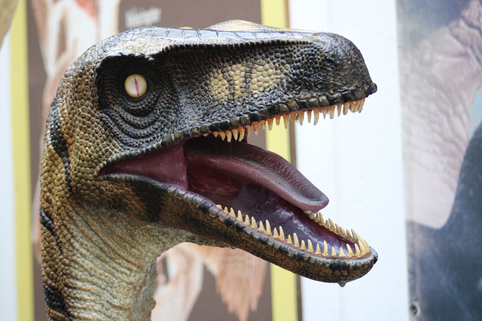 Canon EOS 2000D (EOS Rebel T7 / EOS Kiss X90 / EOS 1500D) sample photo. Dino, dinosaur, prehistoric times photography