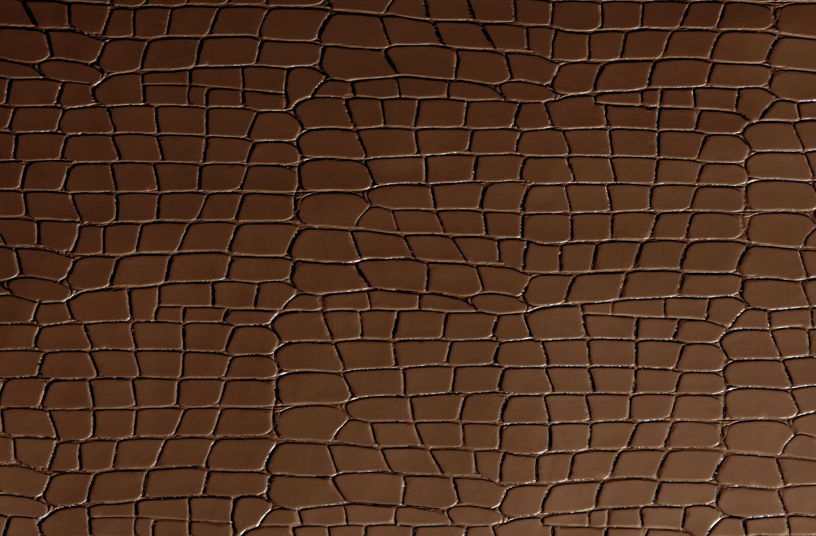 Nikon D700 sample photo. Texture, cook, brown photography