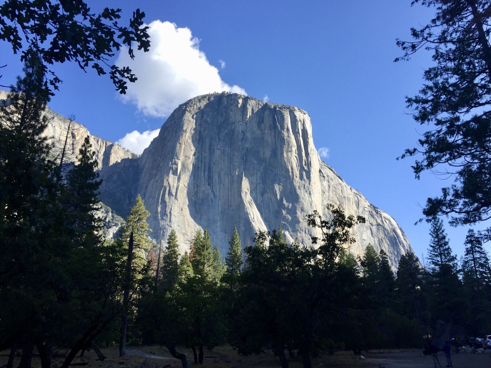 Apple iPhone 6 sample photo. Yosemite, landscape, nature photography
