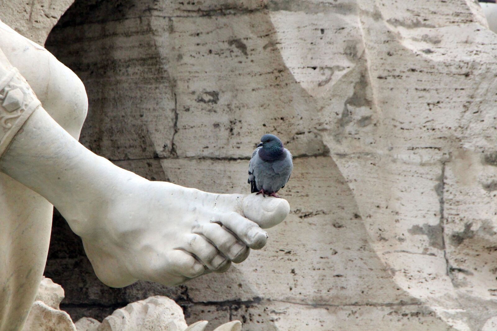 Canon EOS 650D (EOS Rebel T4i / EOS Kiss X6i) sample photo. Dove, monument, fountain photography