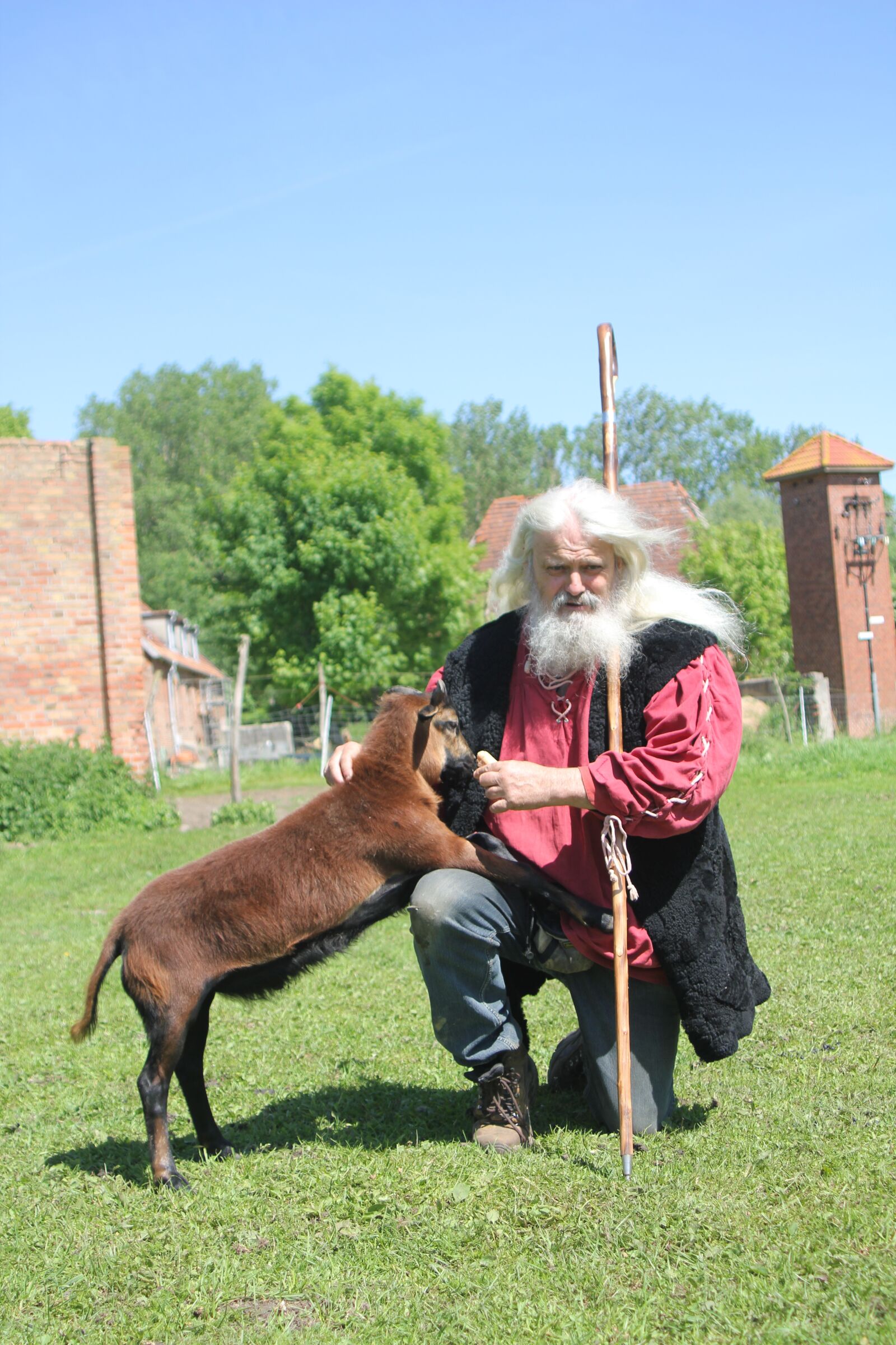 Canon EOS 550D (EOS Rebel T2i / EOS Kiss X4) sample photo. Herdsman, goat, goats photography