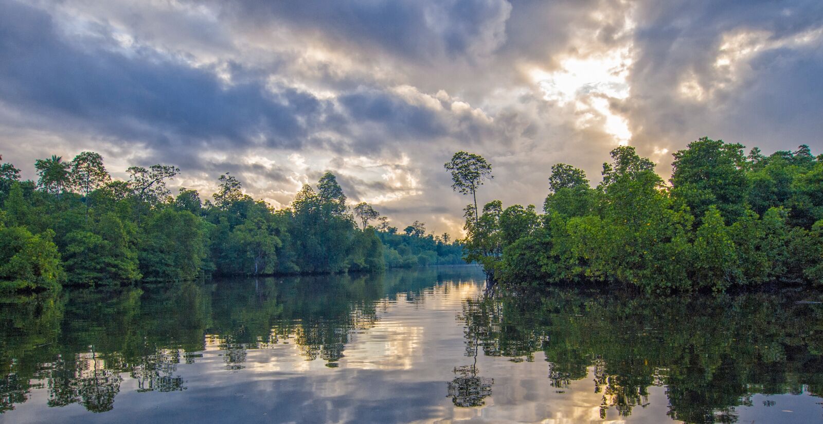 Olympus PEN E-PL1 sample photo. Travel, south island, mangrove photography