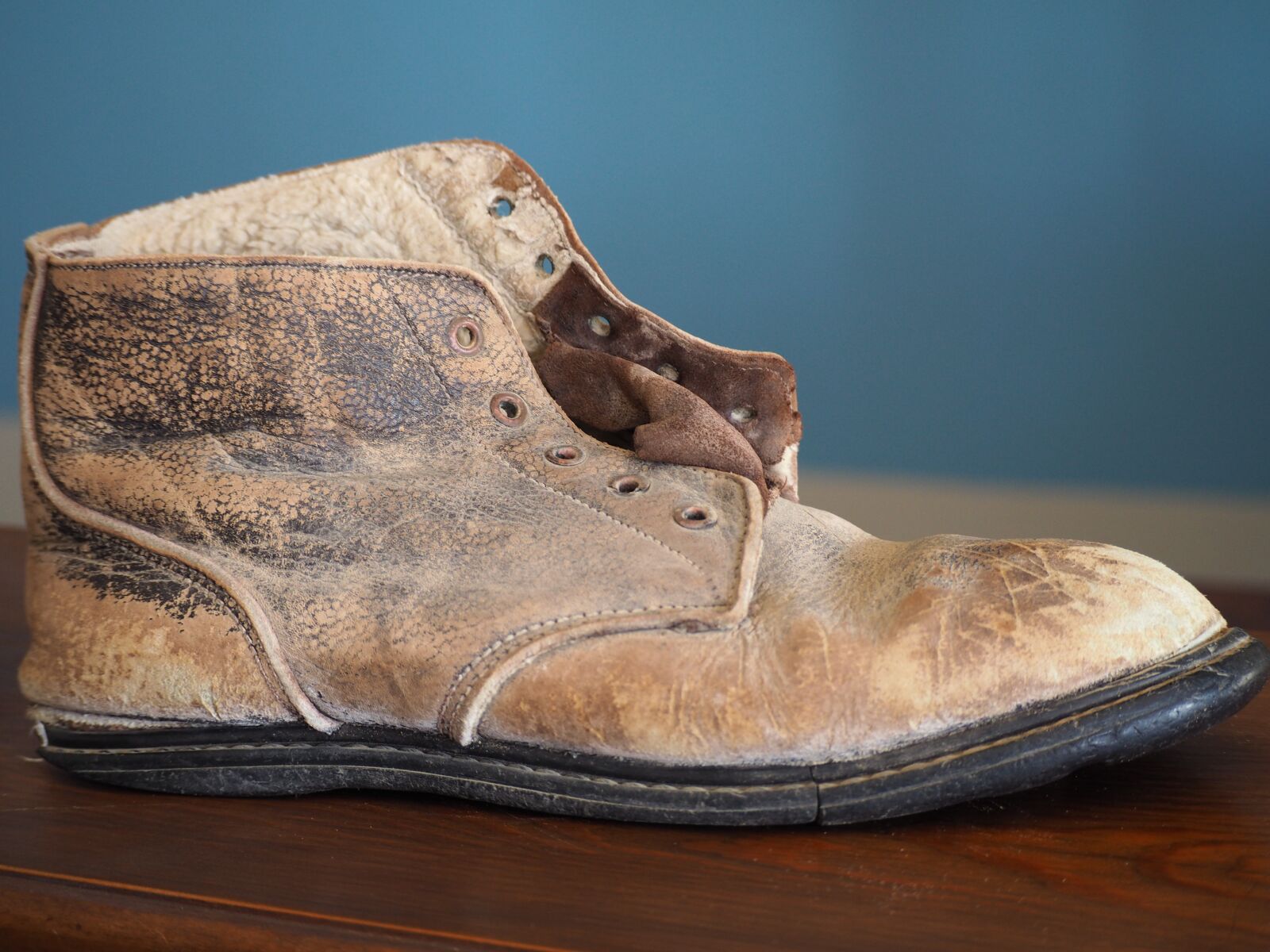 Olympus OM-D E-M10 sample photo. Shoe, old, worn photography