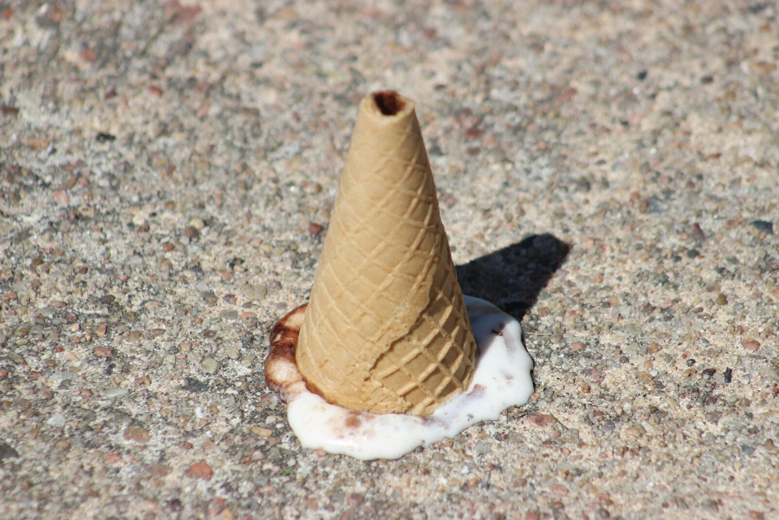 Canon EF75-300mm f/4-5.6 sample photo. Icecream, dessert, sweets photography