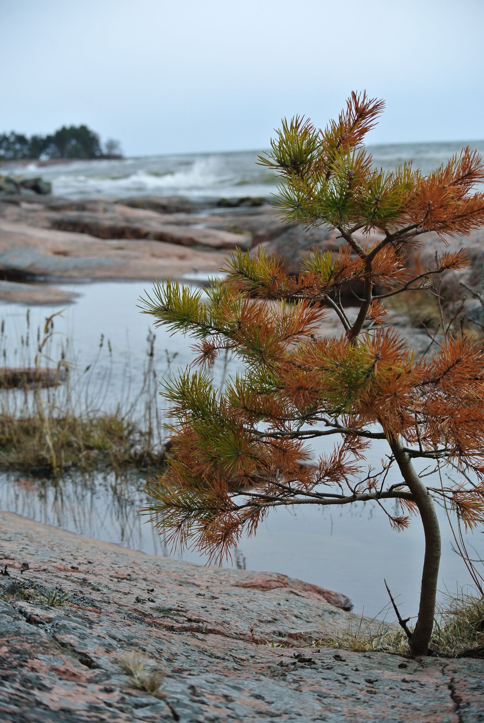 Nikon 1 J1 sample photo. Landscape, sea, rock photography