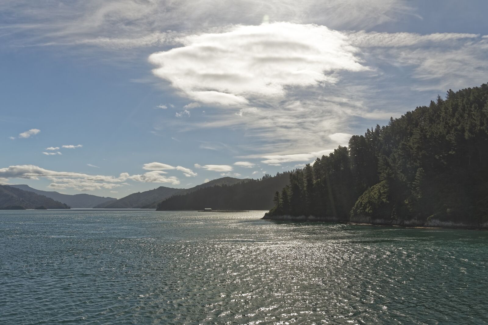 Nikon D500 sample photo. New zealand, cook street photography