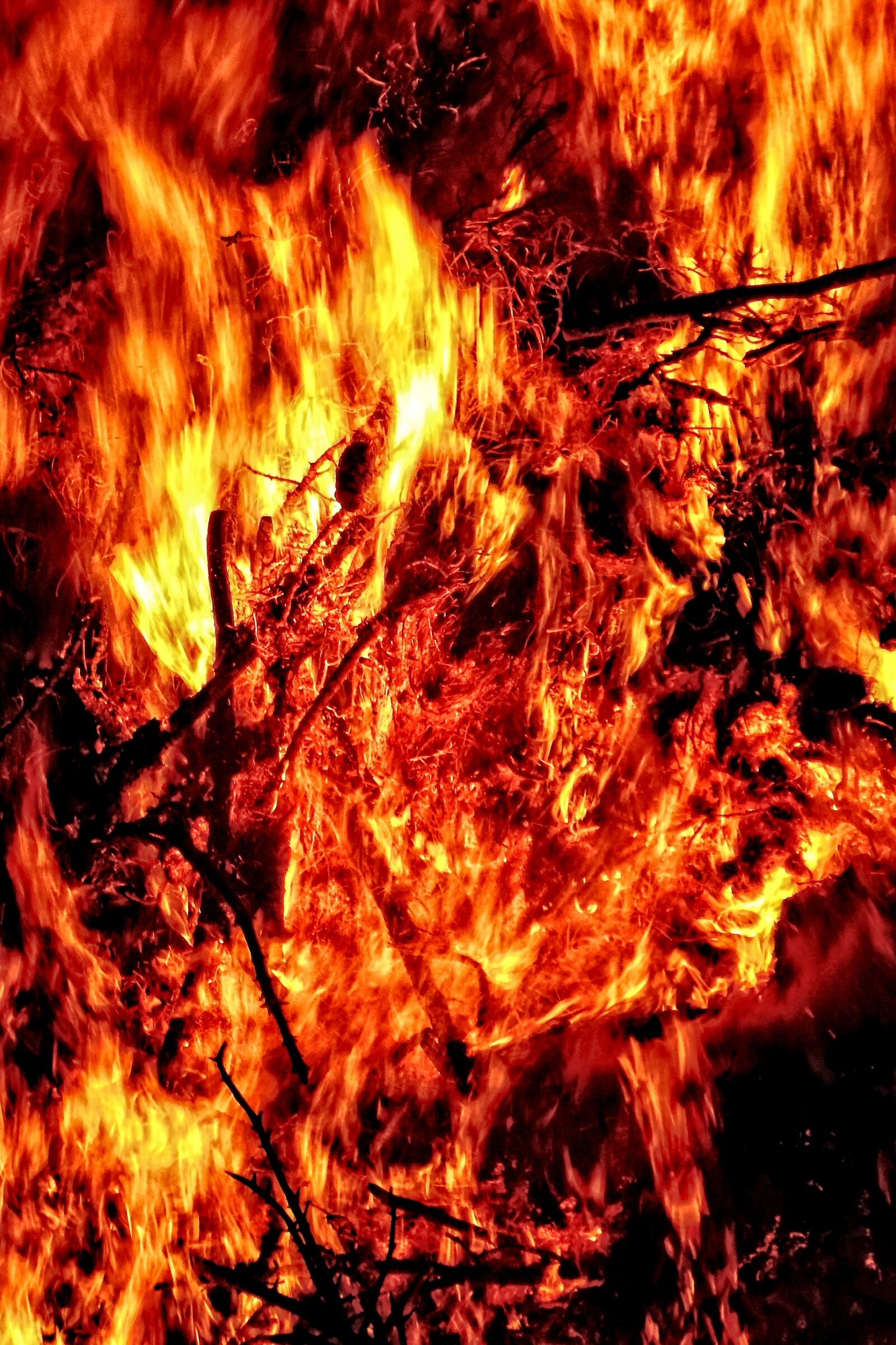 Fujifilm FinePix SL1000 sample photo. Easter fire, fire, f photography