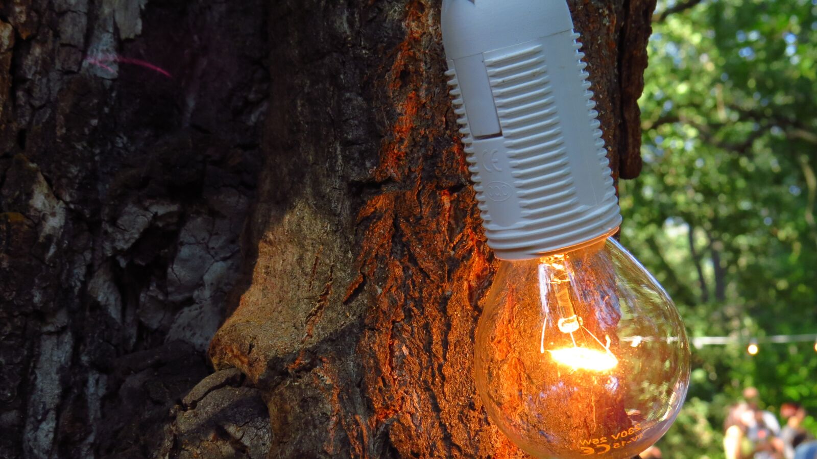 Canon PowerShot SX50 HS sample photo. Lamp, burn, bright photography